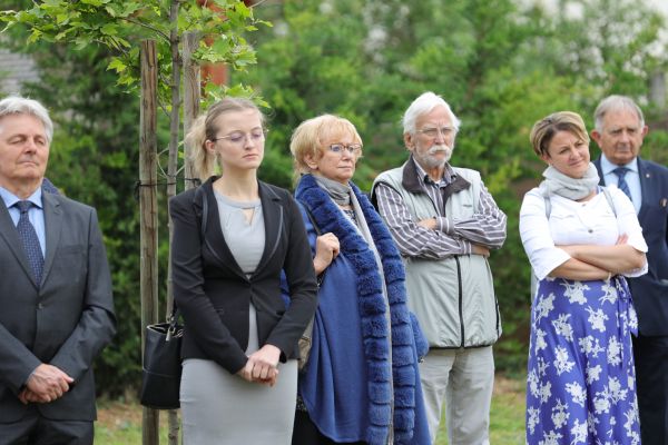 szucs-galeria-240503-str-62jpgAD1CB4BD-FB71-4785-1E93-28E4C96DD75D.jpg