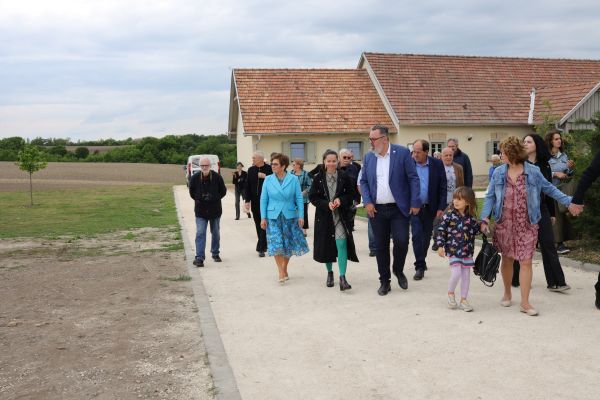 szucs-galeria-240503-str-81jpgD54183AB-B9B1-3386-03E5-0179B15B42C7.jpg